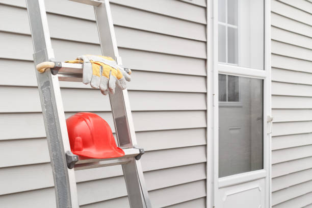 Best Siding for Multi-Family Homes  in Pine, AZ