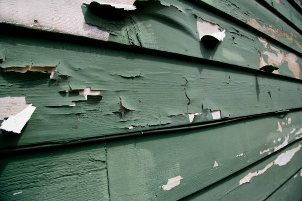 Best Composite Siding  in Pine, AZ