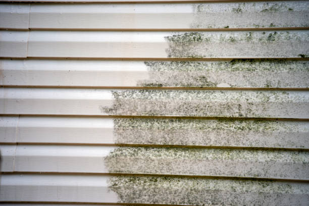 Best Siding for New Construction  in Pine, AZ