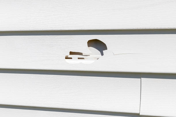 Best Storm Damage Siding Repair  in Pine, AZ