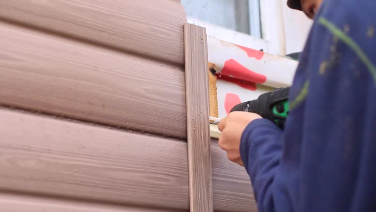 Best Siding Removal and Disposal  in Pine, AZ